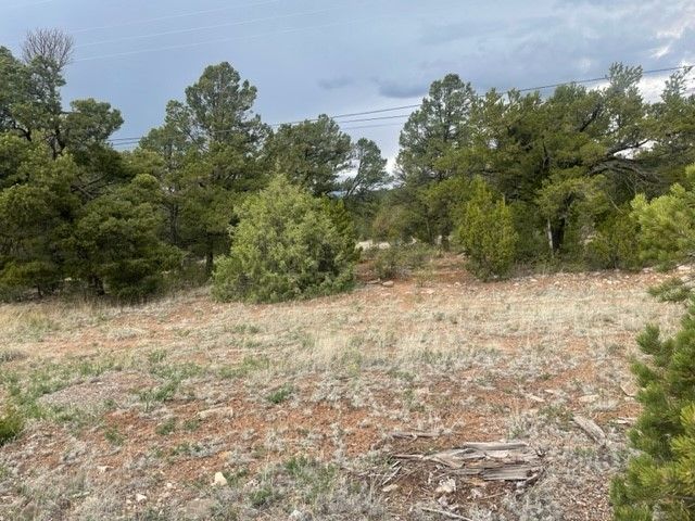 Lot 2 Coyote Chase #1B, Rowe, NM 87562