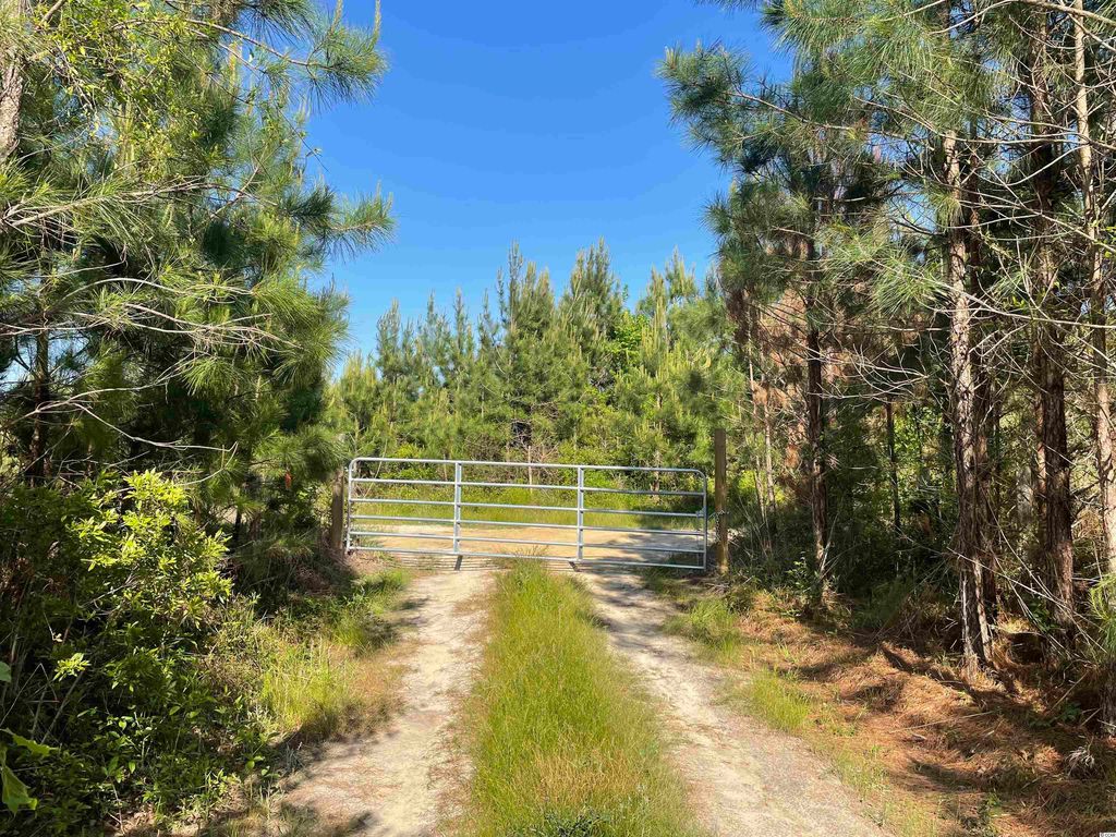 Tbt Dawnshire Dr, Andrews, SC 29510 Trulia