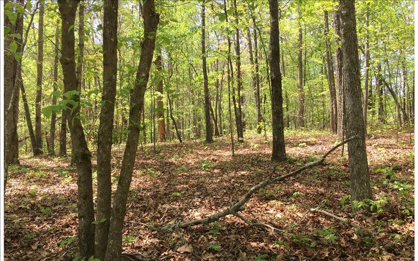 6 N Harris Creek Dr, Ellijay, GA 30540 Trulia