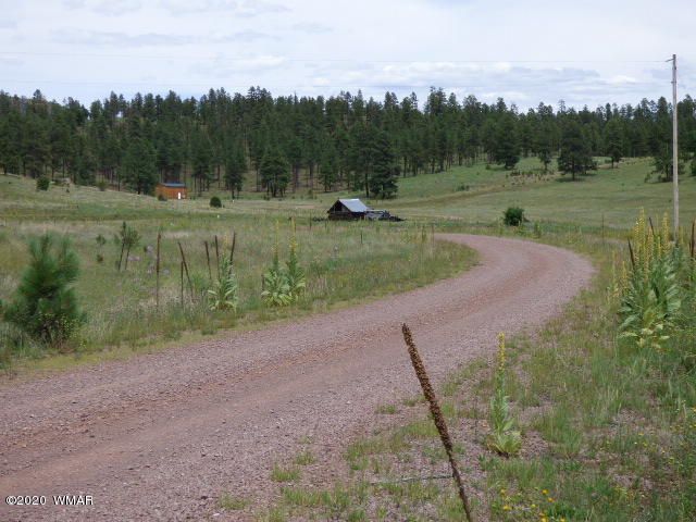 Lot 16 The Ranch At, Alpine, AZ 85920