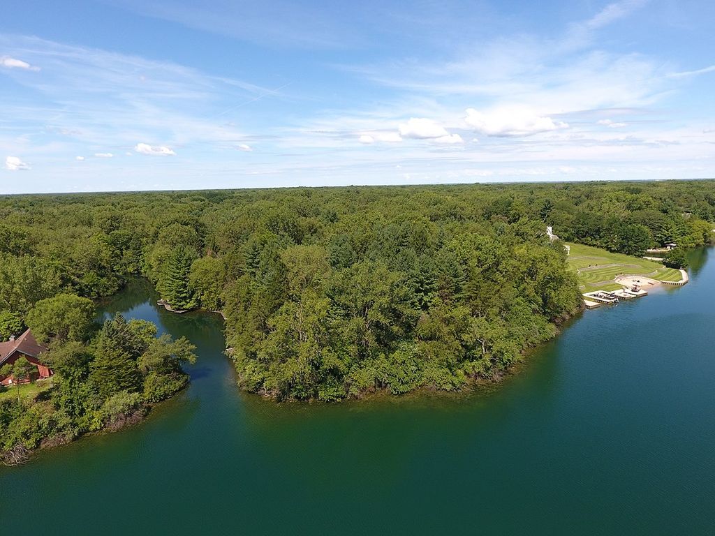 homes for sale in morris il