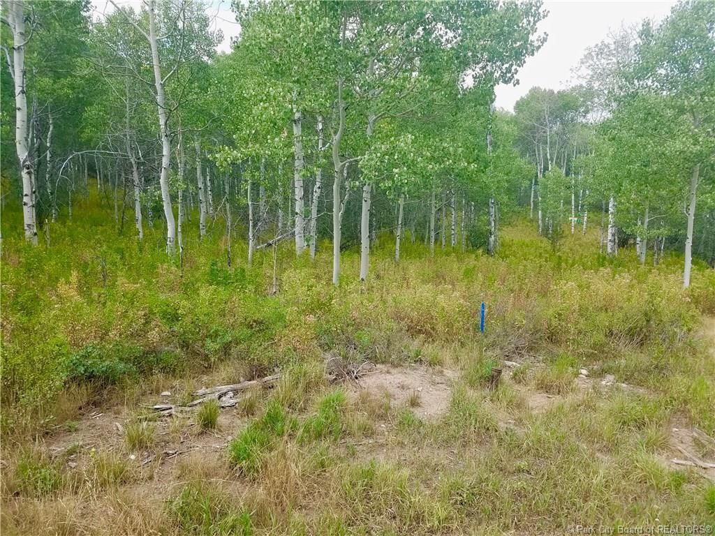 51 Fremont Trl, Oakley, UT 84055 Trulia