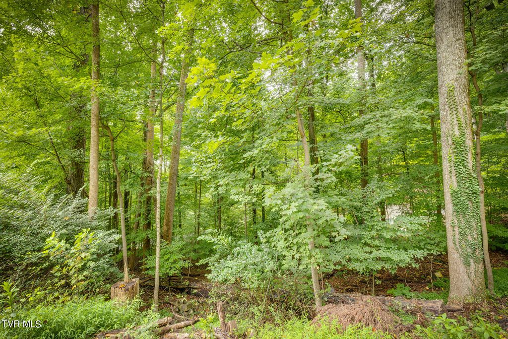 4528 Glenbrook Dr, Kingsport, TN 37664