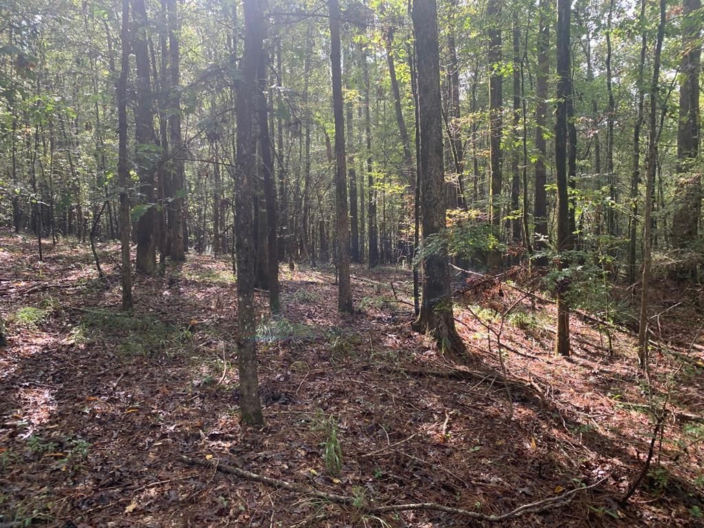 Na, Wesson, MS 39191 Trulia