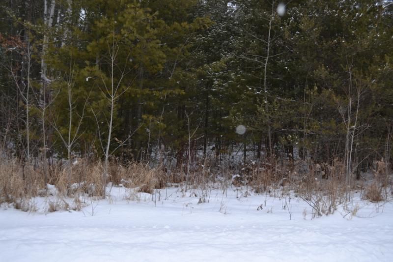 Mackenzie Rd, Oscoda, MI 48750 Trulia