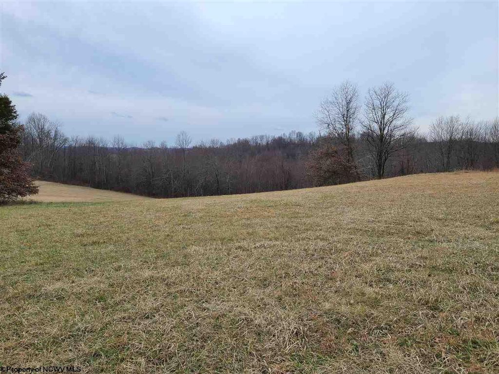 High Meadow Dr, Moatsville, WV 26405