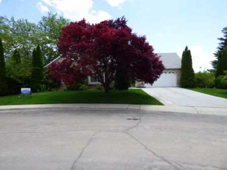 1957 Terrace Dr, Orem, UT 84097