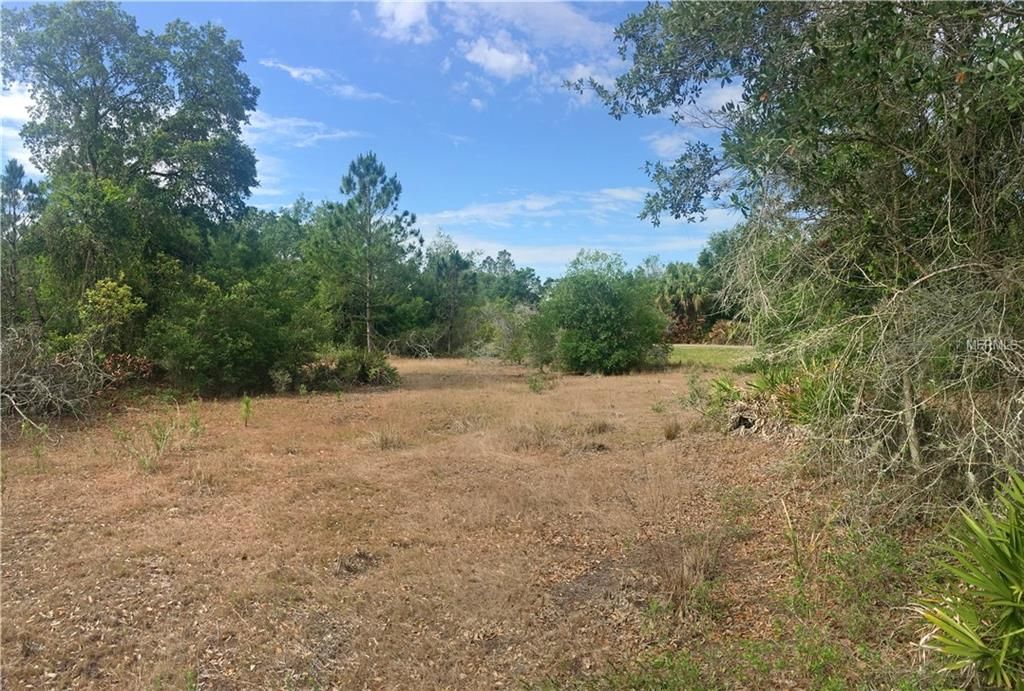 3101 Stagecoach Trl, Wimauma, FL 33598 Trulia