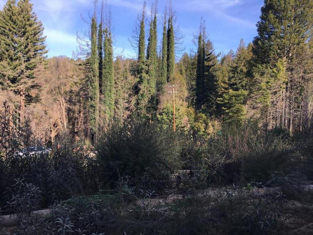 190 Fern Rock Way, Boulder Creek, CA 95006 Trulia