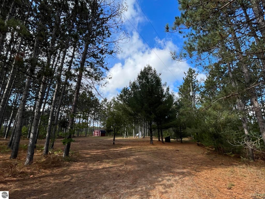 9701 E 12th Rd, Manton, MI 49663 Trulia