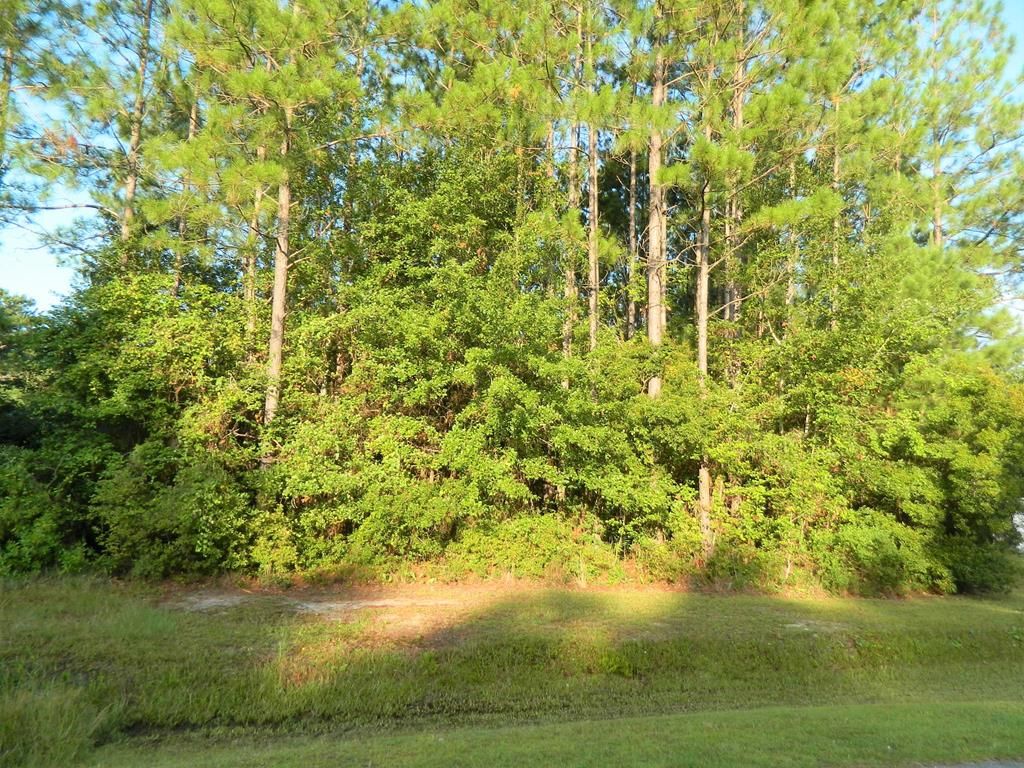 69 Live Oak Trl, Lakeland, GA 31635 Trulia