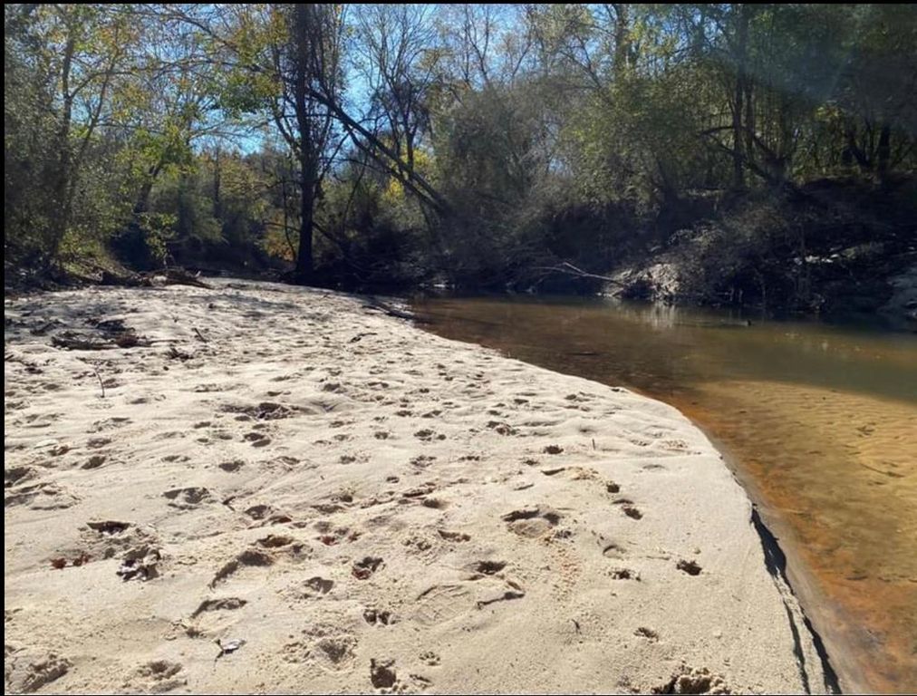 Shubuta St, Shubuta, MS 39360 Trulia