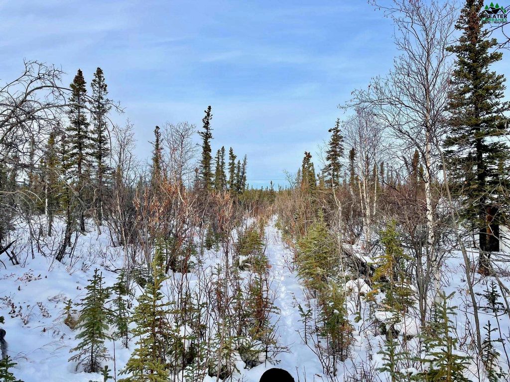 Nhn Magpie Ave, Healy, AK 99743 Trulia