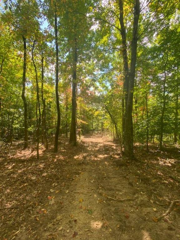 1000 Greasy Ridge Rd, Sandy Hook, KY 41171 Trulia