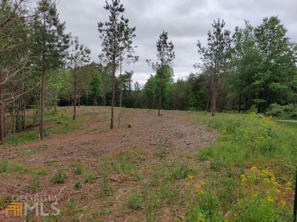 Moss Rd, Fairmount, GA 30139 Trulia