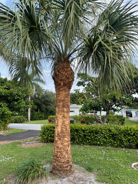 234 NE 12th St #W, Delray Beach, FL 33444