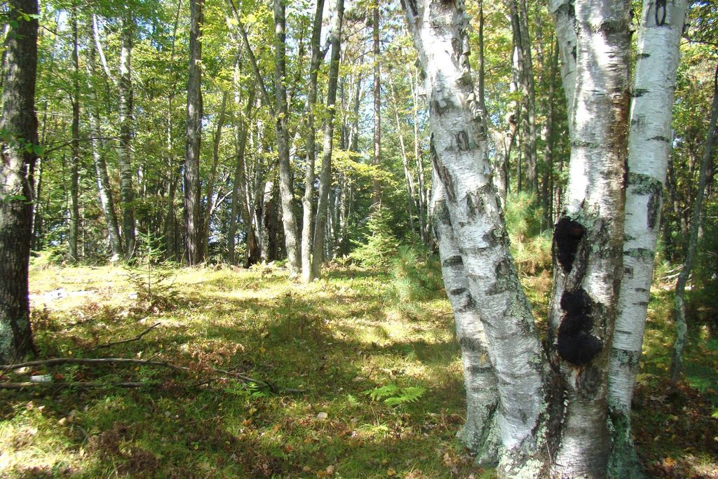 34 Moens Lake Dr, Rhinelander, WI 54501 Trulia