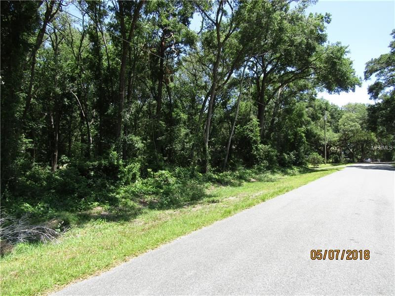 Lots 18, 19, 20 Quaker Ridge Ave, Mount Plymouth, FL 32776 Trulia