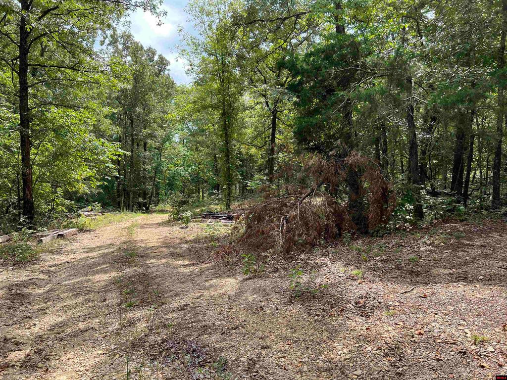 25 Wyatt Rd, Ravenden, AR 72459 MLS 127034 Trulia