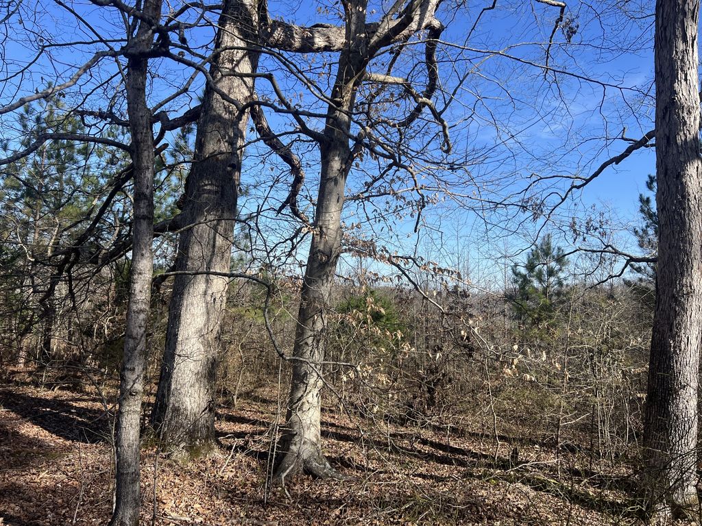 Blooming Grove Rd, Five Points, TN 38457 Trulia