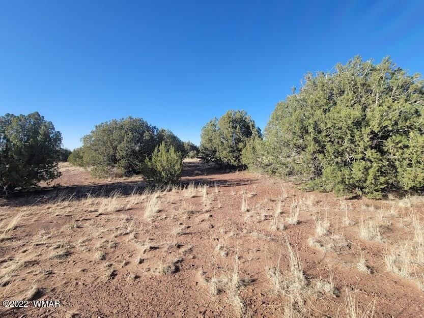 3893 Indian Bend Rd, Snowflake, AZ 85937 Trulia