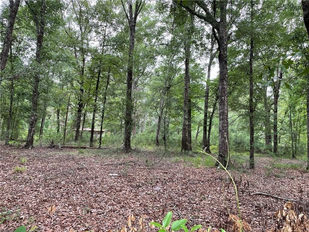 4070 Highway 28 E, Pineville, LA 71360 Trulia