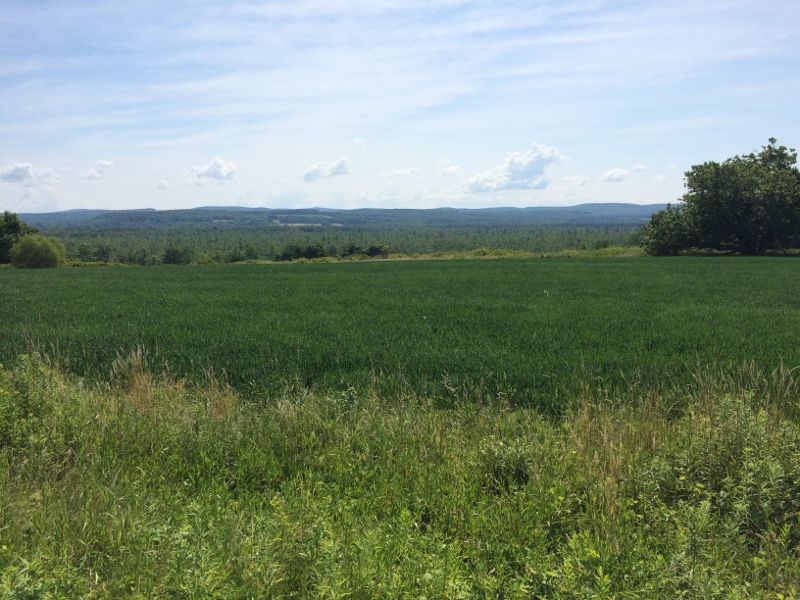 1011 Spencer Rd, Jamestown, NY 14701 Trulia