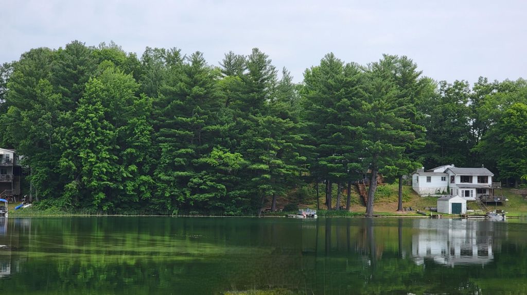 Lot 51 Dr, Stanton, MI 48888 Trulia