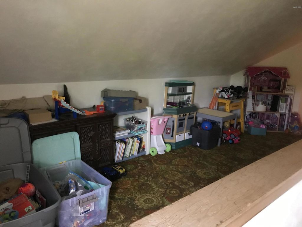 homes for sale near thief river falls mn