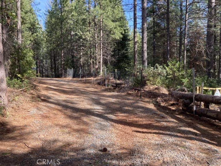 Old Forbestown Rd 57, Forbestown, CA 95941 MLS SN23212094 Trulia