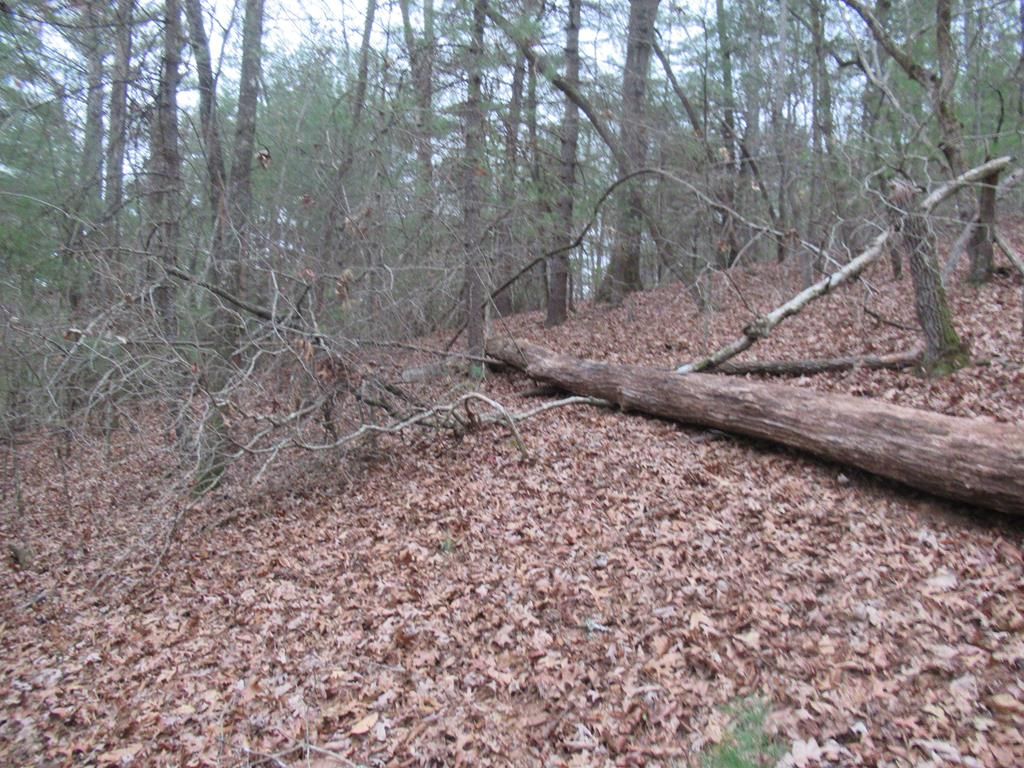 Caledonia Dr, Franklin, NC 28734 Trulia