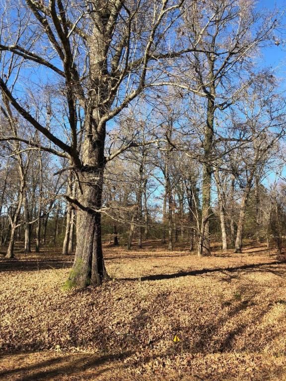 1 Vaiden Dr, Hernando, MS 38632 Trulia