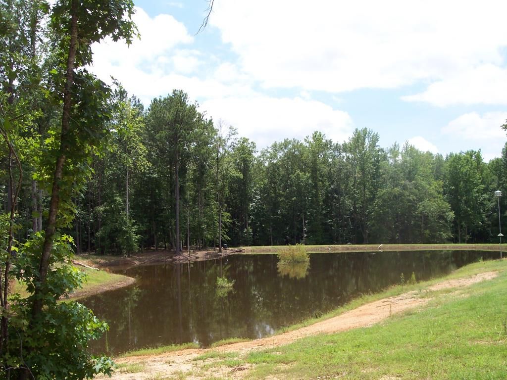 Houses For Rent Shiloh Ga at John Cargill blog