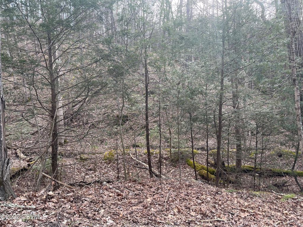 Waterford Rd, Honey Grove, PA 17035 Trulia