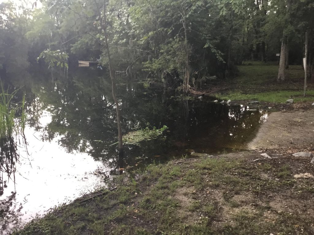 homes for sale in walterboro sc