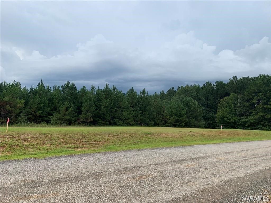 Gilliam Rd, Berry, AL 35546 MLS 154999 Trulia