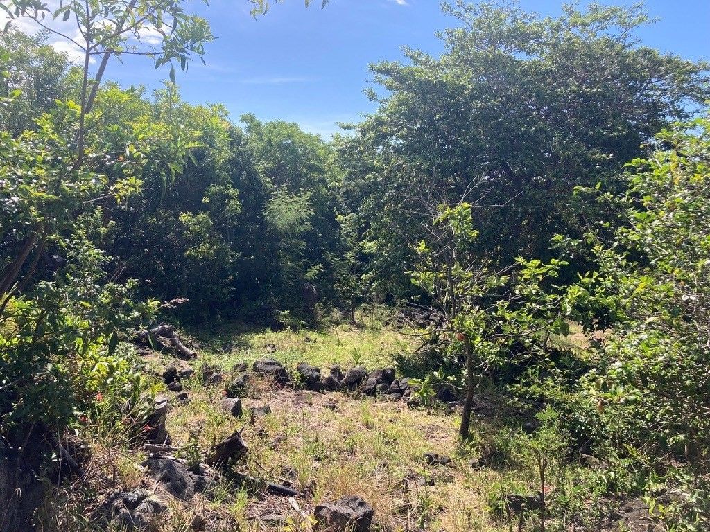 40 Puukani Rd, Naalehu, HI 96772 Trulia