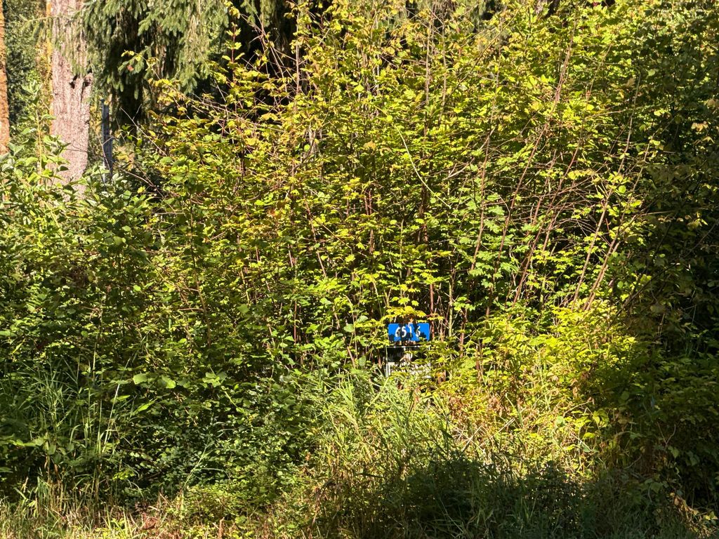 6516 Skinner Rd, Granite Falls, WA 98252