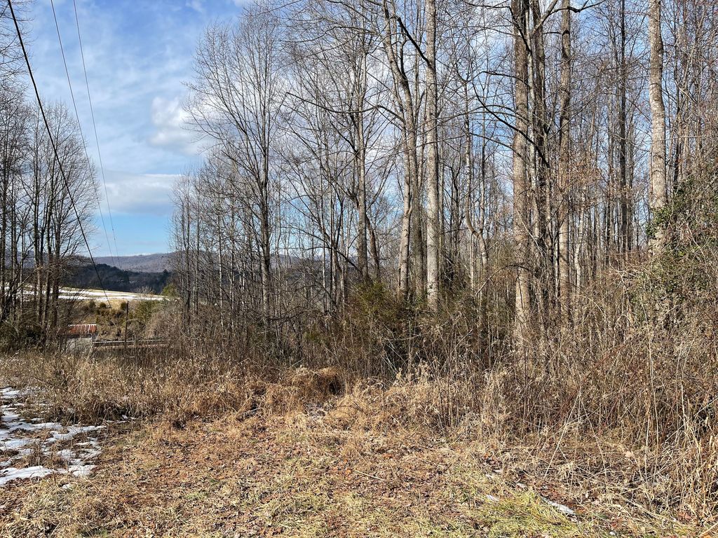 Traphill Rd WP001, Hays, NC 28635 Trulia