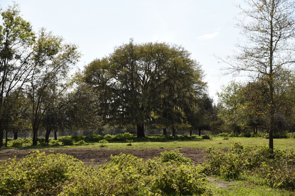 Bardin Rd WP01, Palatka, FL 32177 Trulia