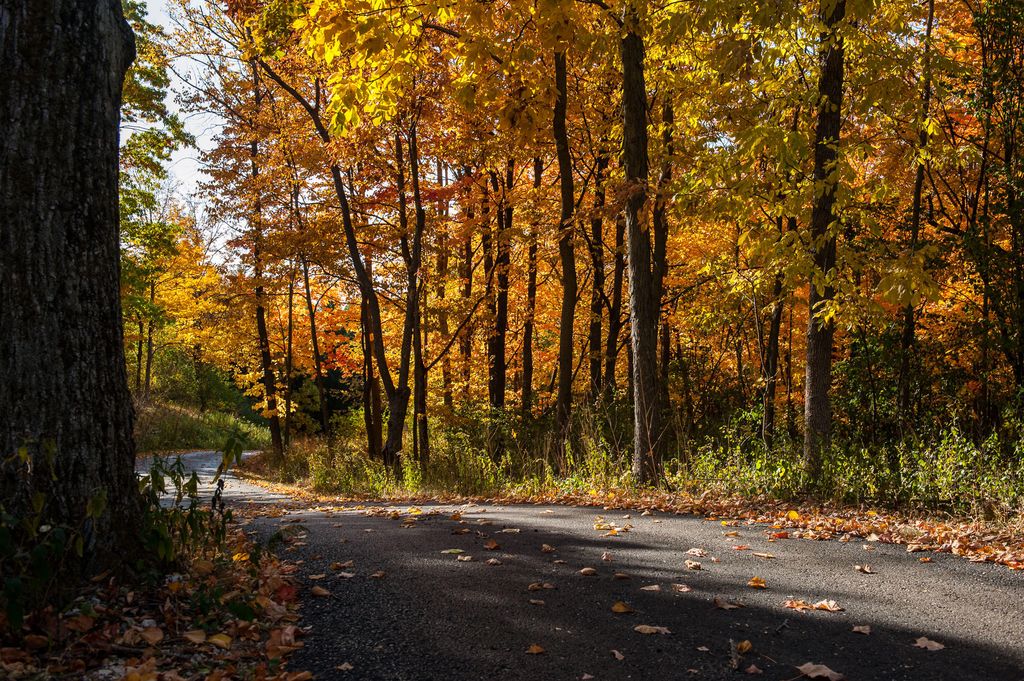 W307N8511 Laskin Rd, Town Of Merton, WI 53029 Trulia