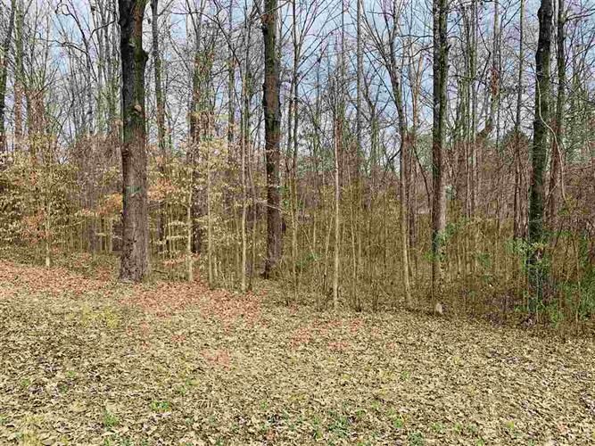 Morningside Dr, Selmer, TN 38375 Trulia