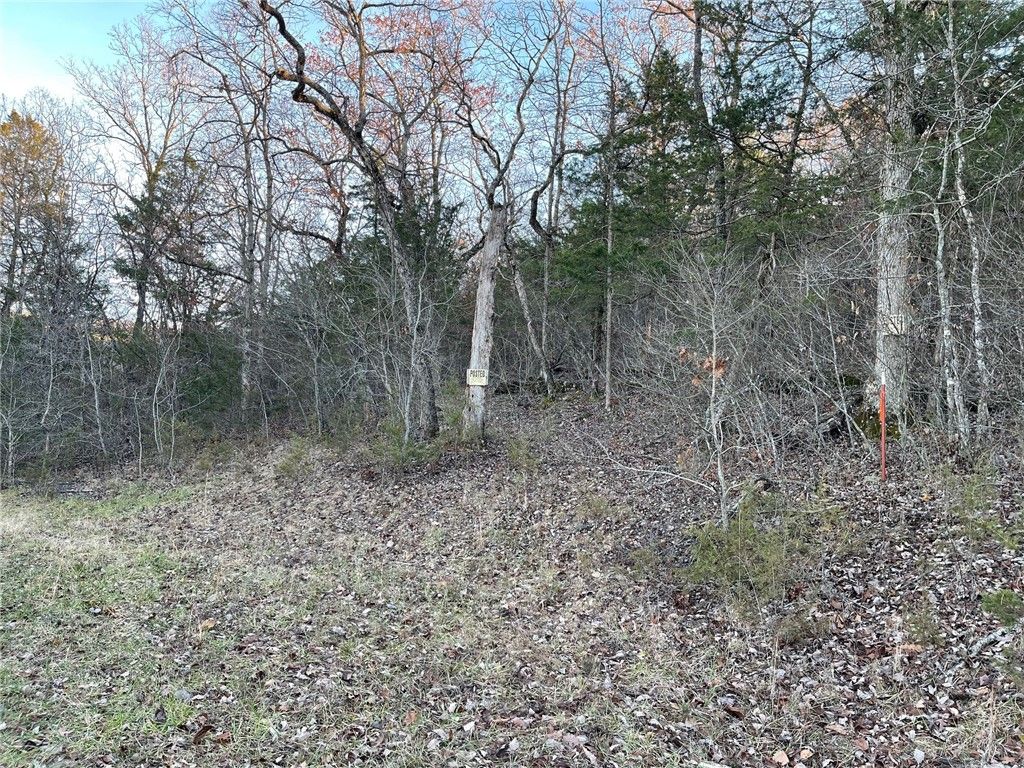 Ria Ln #13, Eureka Springs, AR 72631
