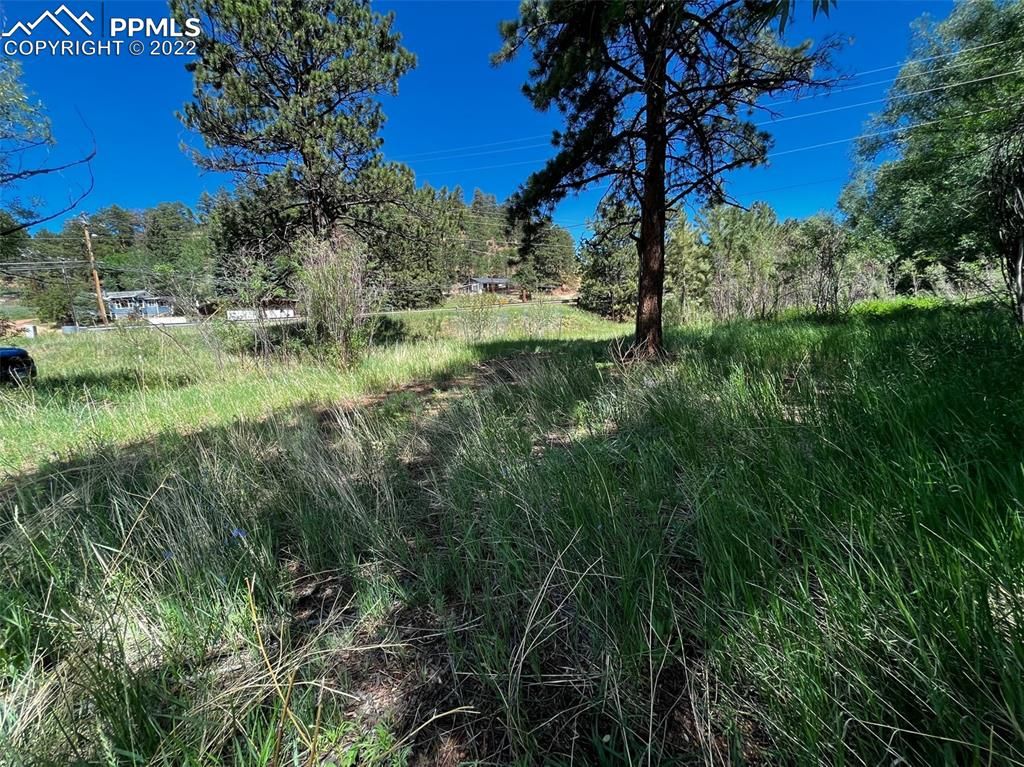 10798 Ute Pass Ave, Green Mountain Falls, CO 80819 Trulia