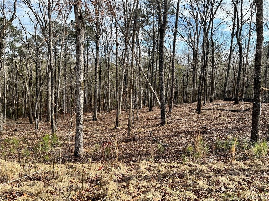 Lot 25 Edgewater Dr, Northport, AL 35475 MLS 148444 Trulia