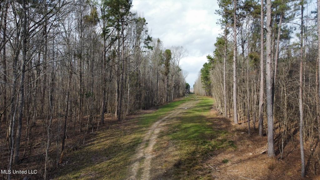 Midway Rd, Wesson, MS 39191 MLS 4039791 Trulia