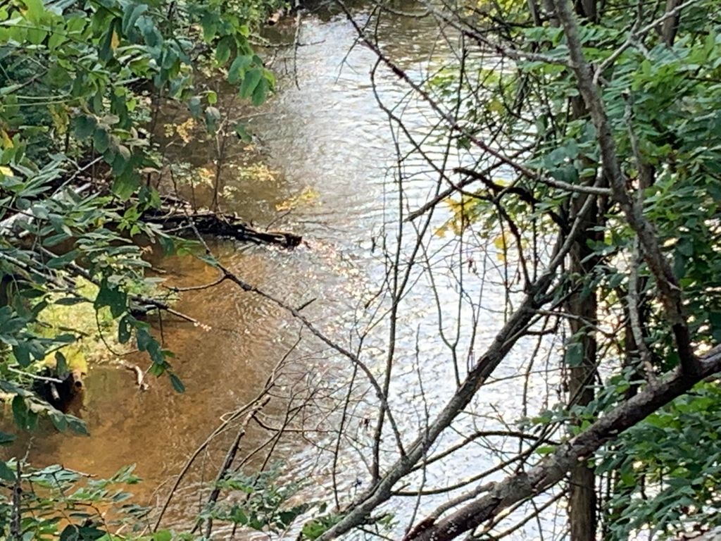 5532 S White River Trl, Hesperia, MI 49421 Trulia