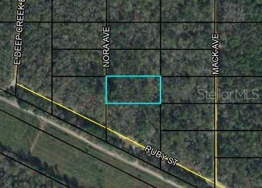X Nora Ave, Hastings, FL 32145