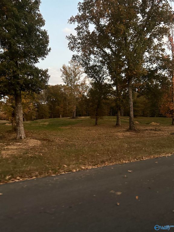 103 Brice Ln, Altoona, AL 35952