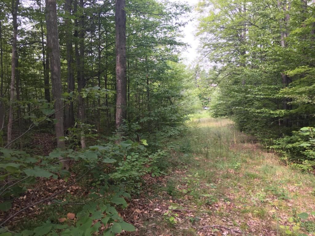 17657 Gaylord Rd, Vanderbilt, MI 49795 Trulia